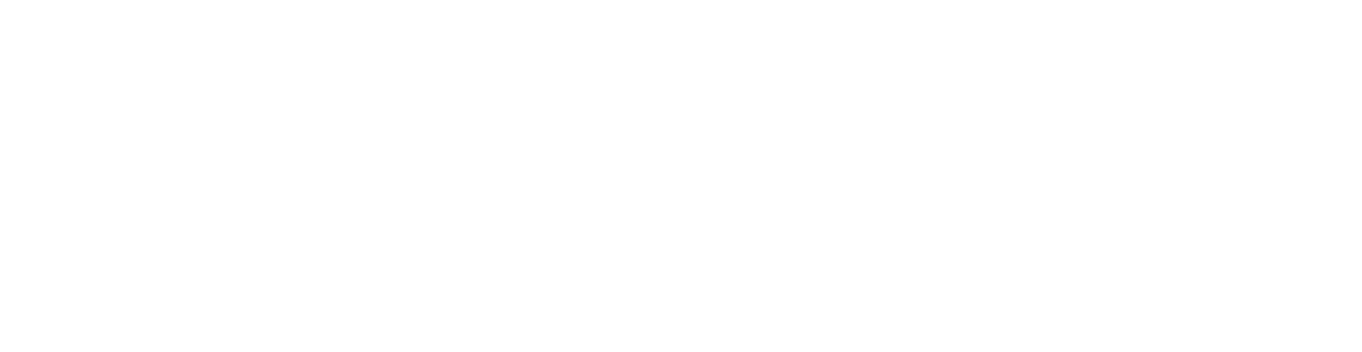 Webiste Logo